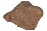 Chondrite Meteorite ( g) - Western Sahara Desert #233187-1